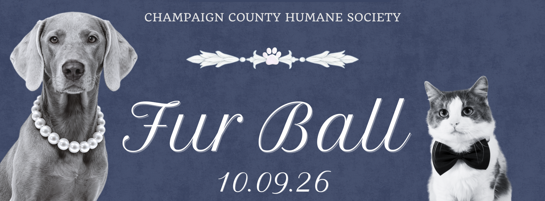 Fur Ball 2026