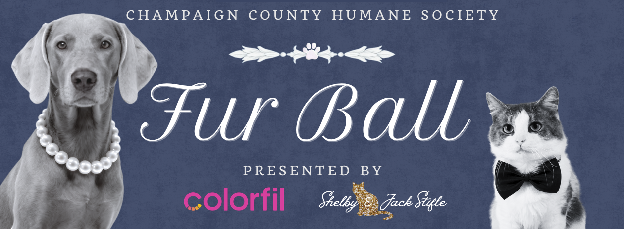 Fur Ball 2026